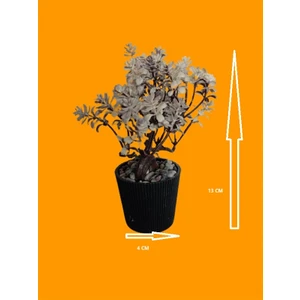 Yapay Çiçek Ağac Boyutu 4 cm X13 cm