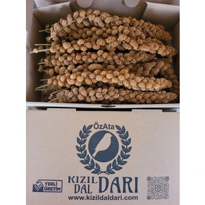 Özata Kızıl Dal Darı  500 gr  Yerli  Üretim Muhabbet Kuşu ve Paraket Yemi