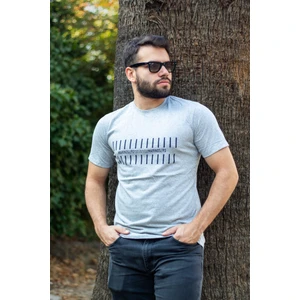 Azıcık Akıllı Erkek Gri Çizgi Baskılı Normal Kesim Bisiklet Yaka Erkek Tişört 22ETSHMROS