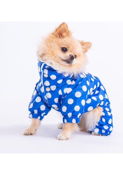 Dots Blue Peluşlu Su Geçirmez Küçük Irk Köpek Yağmurluk Tulum