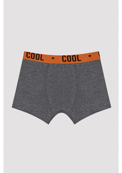 Erkek Çocuk Cool Spor 2li Boxer