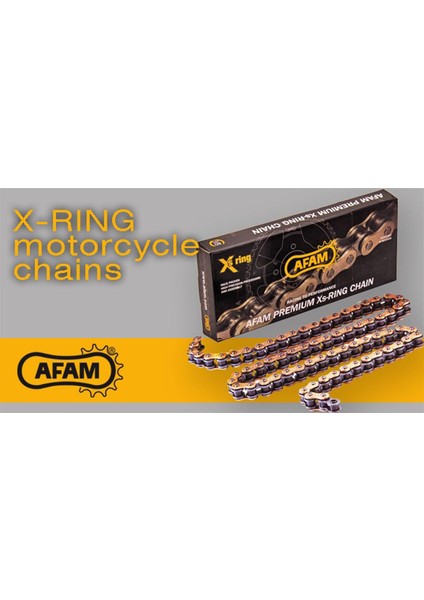 A520-110XRR3-G 2000-2007 Honda Xr 650 R Uyumlu Zincir Xrr3-G Xring Gold Renk