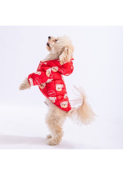 Kırmızı Teddy Puff Köpek Montu Köpek Yağmurluğu Köpek Kıyafeti