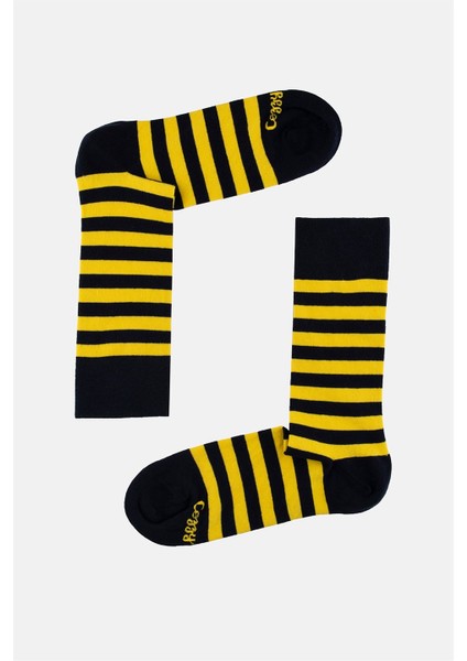 Cozzy Socks 4'lü Renkli Şerit Çorap