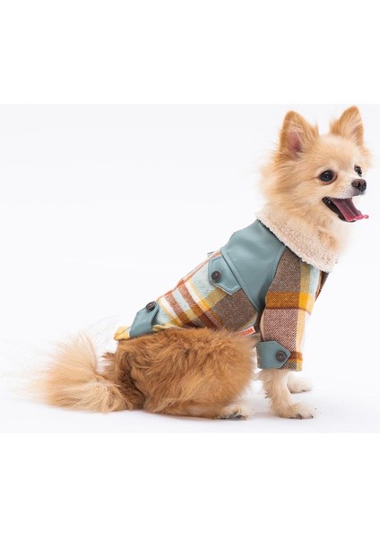 Yeşil Plaid Küçük Irk Köpek Kabanı