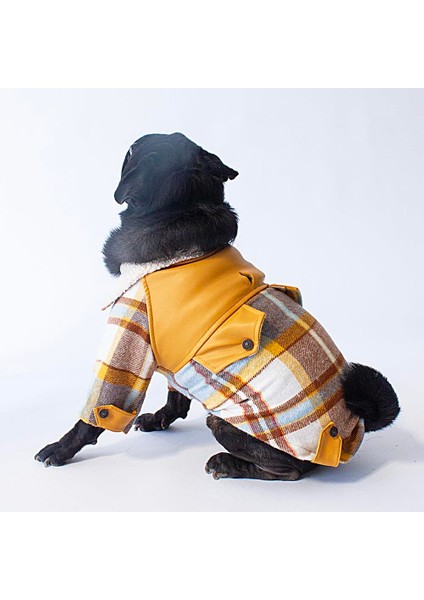 Hardal Plaid Küçük Irk Köpek Kabanı