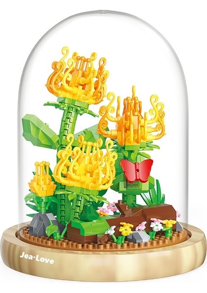 JeaLove Jea·love Flower Serisi Montajlı Yapı Taşları (Şeffaf Kapak + Ahşap Taban) (Yurt Dışından)
