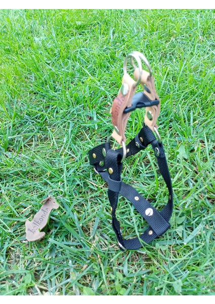 Köpek göğüs tasması minik ırk hakiki deri siyah kolon genişlik:2cm göğüs ölçüsü:30-50cm ayarlamalı dog harness GT3-39 modelleri
