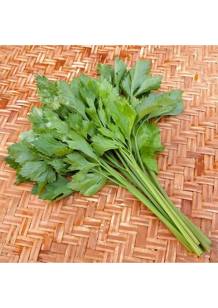 Çorba ve Çeşni Yaprak Kereviz Tohumu Leaf Celery