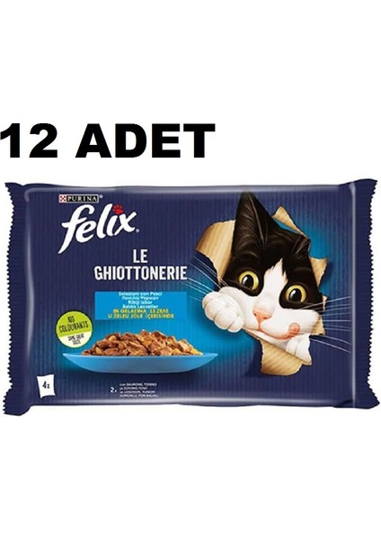 Somonlu Ton Balıklı Yetişkin Kedi Konservesi 4 x 85 gr