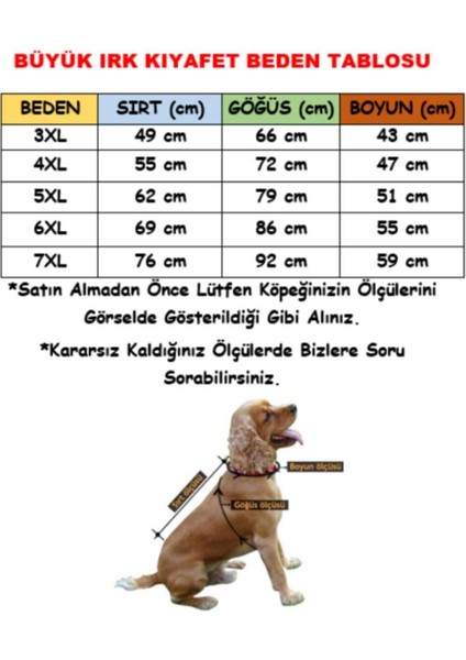 Turuncu Sweet Orta-Büyük Irk Köpek Pofuduk Sweatshirt