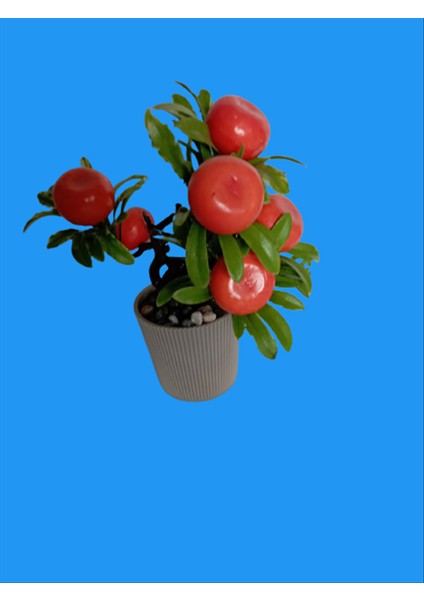 Meyveli Boyutları 5 cm X16 cm
