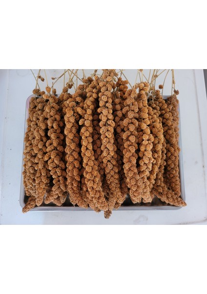 500 gr Yerli Üretim Muhabbet Kuşu ve Paraket Yemi fiyatları