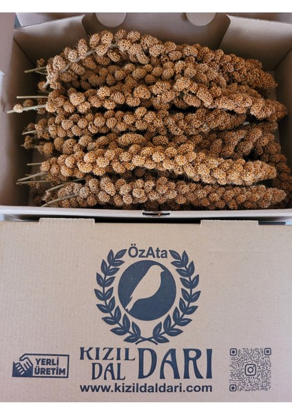 500 gr Yerli Üretim Muhabbet Kuşu ve Paraket Yemi