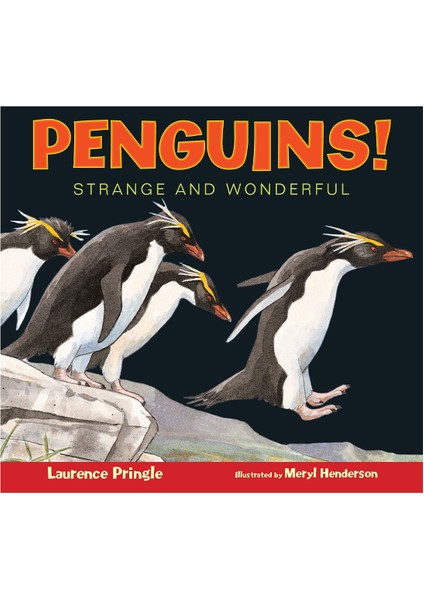 Ast - Penguins: Strange And Wonderful