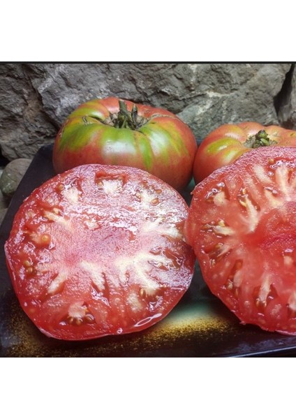 Olive Hill Etli Domates Tohumu (15 Tohum)