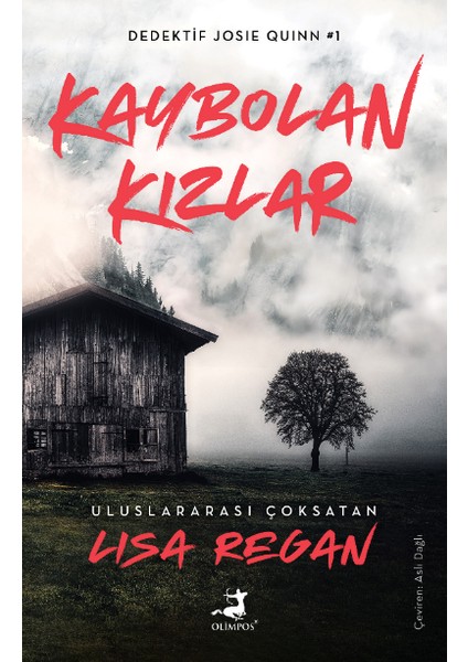 Kaybolan Kızlar - Lisa Regan