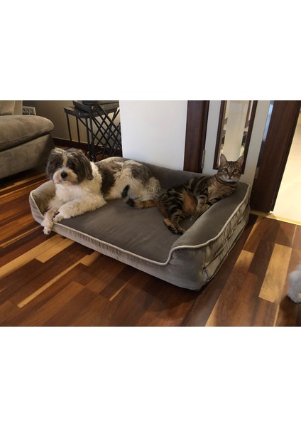 Premium Sofa Blok Visko Sungerli Alezli Fermuarlı Yıkanabilir Köpek Yatağı S-Vizon