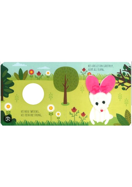 Little Rabbit Finger Puppet Book