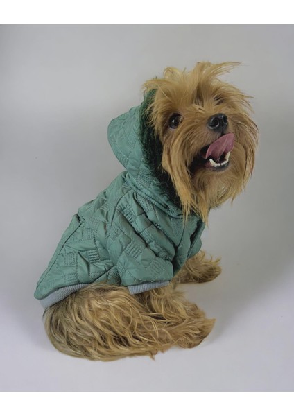 Green Comfy Köpek Montu Köpek Ceketi Köpek Dış Giyim
