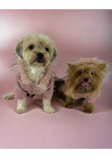 Pink Comfie Köpek Montu Köpek Ceketi Köpek Dış Giyim