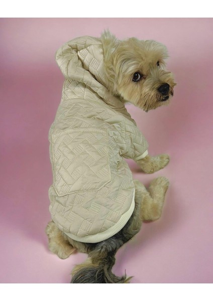 Cream Comfie Köpek Montu Köpek Ceketi Köpek Dış Giyim