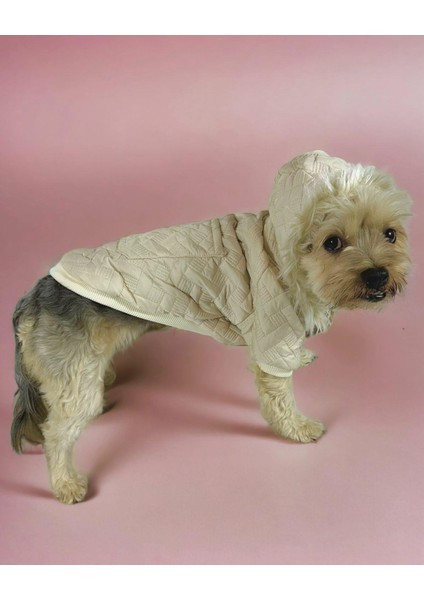 Cream Comfie Köpek Montu Köpek Ceketi Köpek Dış Giyim