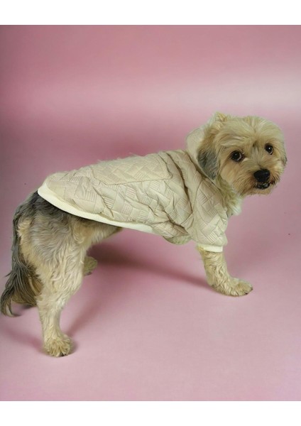Cream Comfie Köpek Montu Köpek Ceketi Köpek Dış Giyim