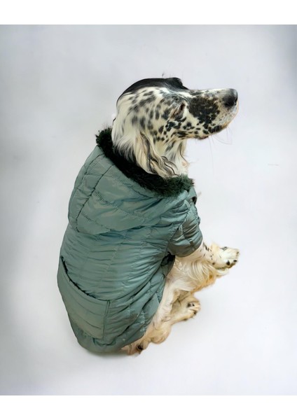 Green Comfly Köpek Montu Orta ve Büyük Irklar Için