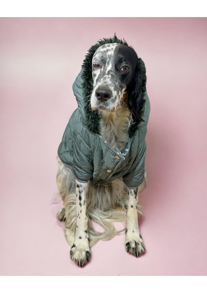Green Comfly Köpek Montu Orta ve Büyük Irklar Için
