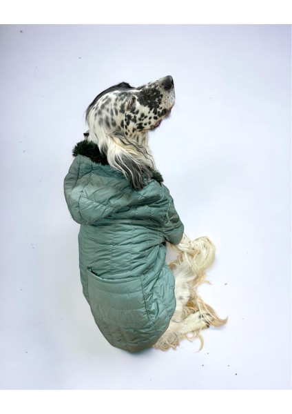 Green Comfly Köpek Montu Orta ve Büyük Irklar Için