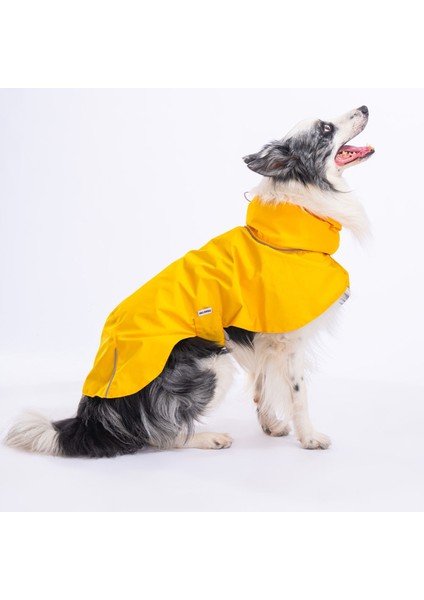 Kırmızı Colombia Orta ve Büyük Irk Köpek Yağmurluğu Köpek Kıyafeti Köpek Elbisesi