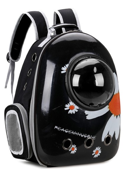 Yan Açılış Şeffaf Kedi Çantası ile Siyah Arka Plan Üzerinde Yeni Çift Omuz Uzay Kapsülü Evcil Hayvan Çantası Taşınabilir Evcil Hayvan Sırt Çantaları Kedi Çantası (Yurt Dışından)