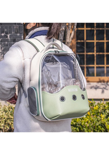 Yeşil 6 Sırt Çantası Kediler Için Seyahat Şeffaf Çanta Taşıyıcı Kedi Taşıma Sırt Çantası Pet Yavru ve Küçük Köpek Evcil Hayvan Taşıma Çantası Açık Çanta (Yurt Dışından) fırsatları