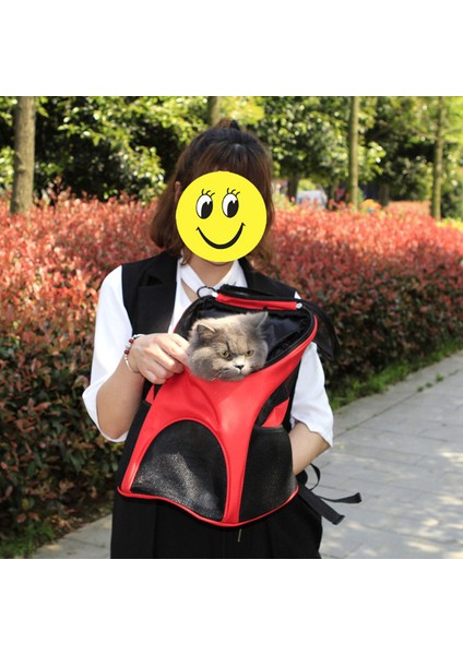 Auburn M Evcil Hayvan Malzemeleri Kedi Seyahat Taşıma Çantası Katlanabilir Köpek Nefes Sırt Çantası Büyük ve Küçük Evcil Hayvan Sırt Çantaları Precordial Çanta (Yurt Dışından) indirimleri