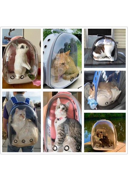 Koyu Göl Mavisi Nefes Alabilir Kedi Taşıma Çantaları Evcil Hayvan Taşıyıcıları Küçük Köpek Kedi Sırt Çantası Oxford Kumaş Akrilik Seyahat Uzay Kapsülü Kafesi 6.5 kg Yük Taşıma (Yurt Dışından) fırsatları