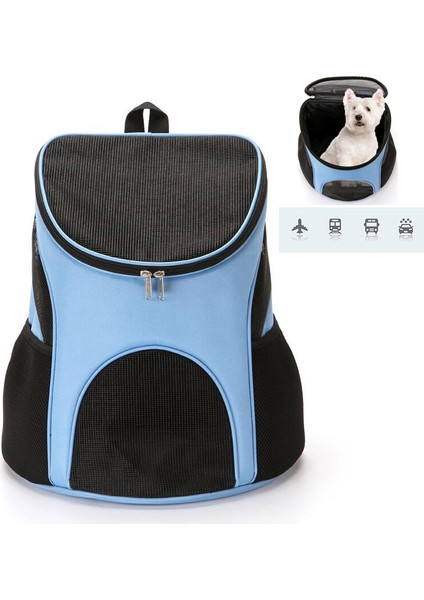 Siyah M Katlanabilir Evcil Hayvan Taşıyıcı Sırt Çantası Köpek Kedi Açık Seyahat Taşıyıcı Packbag Taşınabilir Fermuar Örgü Pet Sırt Çantası Pet Out Çanta Kedi Sırt Çantası (Yurt Dışından)