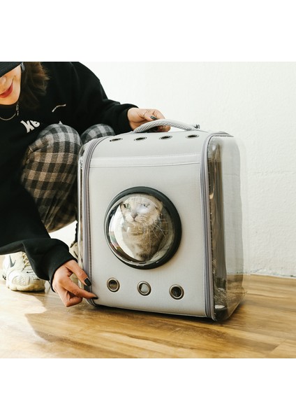 Pembe 1 Pet Küçük Köpek Kedi Çanta Paketi Taşıyıcı Şeffaf Kafes Omuz Çantası Sırt Çantası Taşıma Taşınabilir Nefes Katlanabilir Seyahat Paketi (Yurt Dışından) indirimleri