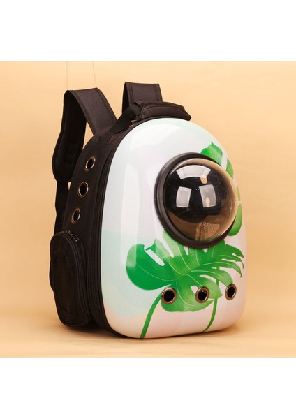 13 Hiçbir Yan Açılım Evcil Hayvan Taşıma Çantası Köpek Kedi Sırt Çantası Uzay Kapsülü Şeffaf Taşınabilir Nefes Alabilir Pet Seyahat Çantası Yavru Köpek Yavrusu Için Taşıma (Yurt Dışından)