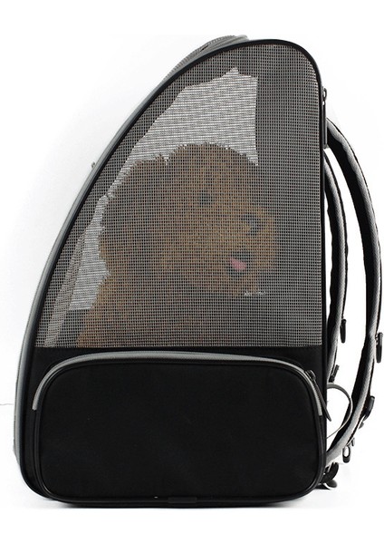 Type1 Yenilikçi Gezgin Kabarcık Sırt Çantası Kediler ve Köpekler Için Evcil Hayvan Taşıyıcıları Şeffaf Pencere, Emniyet Kemeri Bağlantıları, Havayolu Onaylı (Yurt Dışından)