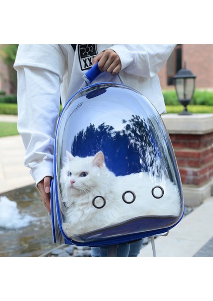 Sarı Kedi Taşıma Çantaları Kedi Çantası Nefes Taşınabilir Evcil Hayvan Taşıma Çantası Açık Seyahat Sırt Çantası Kedi Köpek Için Şeffaf Uzay Evcil Hayvan Sırt Çantası (Yurt Dışından) indirimleri