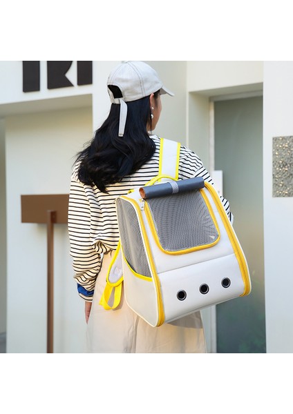 Yeşil Pet Kedi Taşıma Çantası Nefes Taşınabilir Kedi Sırt Çantası Açık Küçük Köpek Taşıma Taşıma Çantası Kedi Sırt Çantası Taşıyıcıları Cushio (Yurt Dışından) fiyatları