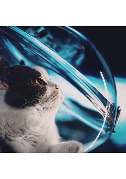 Siyah Kapaklı Tek Boyut Astronot Pencere Kabarcık Taşıma Seyahat Çantası Nefes Alan Uzay Kapsülü Şeffaf Evcil Hayvan Taşıma Çantası Köpek Kedi Sırt Çantası (Yurt Dışından) indirimleri