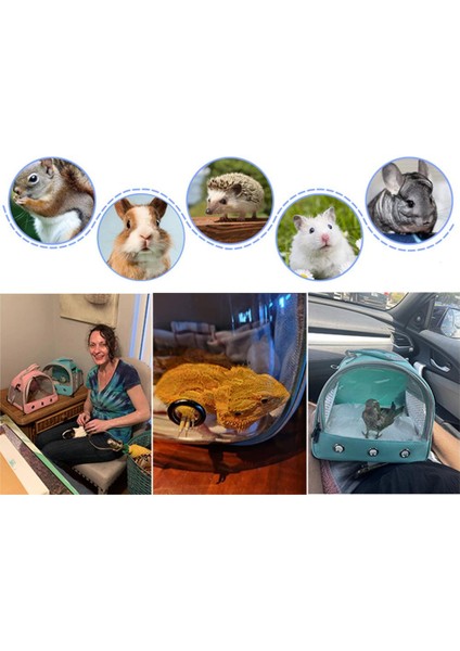 Siyah Taşınabilir Evcil Hayvan Taşıma Çantası Şeffaf Pencere ile Açık Çanta Asmak Tavşan Hamster Chinchilla Kirpi (Yurt Dışından) modelleri