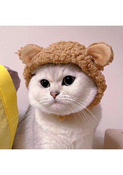 Kedi Şapka Komik Pet Köpek Kedi Kap Yumuşak Sıcak Peluş Ayı Kulaklar Şapka Cosplay Şapkalar Doğum Günü Hediyesi Parti Kostüm Aksesuarları Fotoğraf Sahne (Yurt Dışından) modelleri