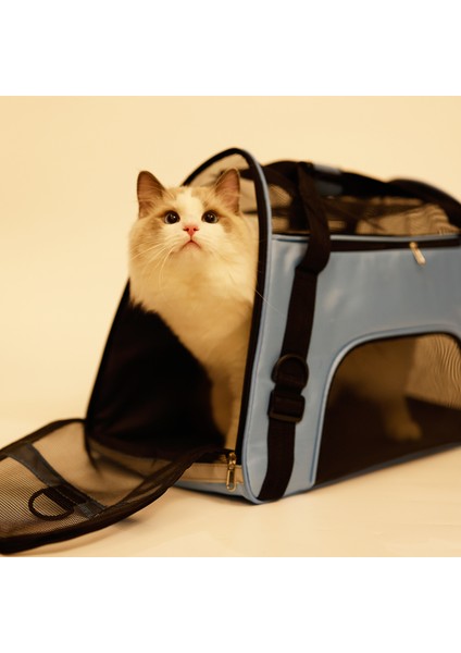 Ks Pet Kedi Taşıyıcı Sırt Çantası Nefes Kedi Seyahat Açık Omuz Çantası Küçük Köpekler Kediler Için Taşınabilir Ambalaj Taşıma Pet Malzemeleri (Yurt Dışından) modelleri
