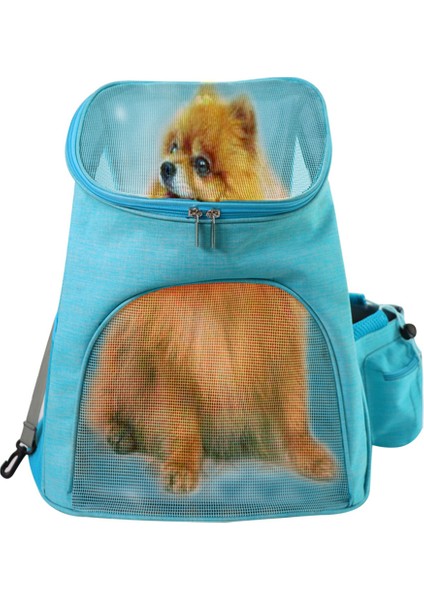 Mavi S Köpek Sırt Çantası Taşıyıcı, Küçük Köpekler Kediler Yavruları Için Fileli Evcil Hayvan Taşıma Çantası, Hikin Için Onaylı Konfor Kedi Sırt Çantası Havayolu (Yurt Dışından) indirimleri