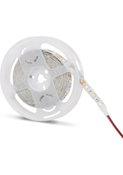 Mavi Iç Mekan 4040 Şerit LED - 5mt