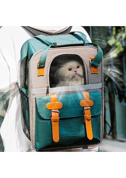 Yeşil Evcil Hayvan Sırt Çantası Büyük Nefes Yavru Seyahat Çantası Taşınabilir Çanta Köpek Taşıma Çantası Lüks Köpek Taşıyıcı Kedi Kafesi Evcil Hayvan Aksesuarları (Yurt Dışından) fiyatları