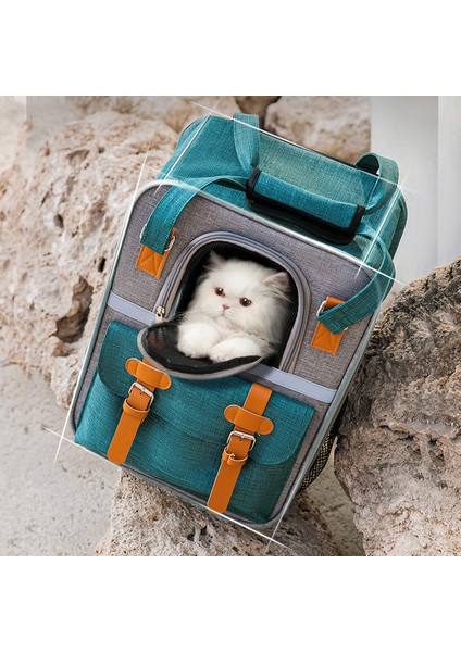 Yeşil Evcil Hayvan Sırt Çantası Büyük Nefes Yavru Seyahat Çantası Taşınabilir Çanta Köpek Taşıma Çantası Lüks Köpek Taşıyıcı Kedi Kafesi Evcil Hayvan Aksesuarları (Yurt Dışından) modelleri